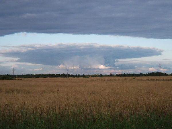 Натали Масленникова