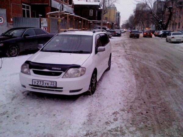 Тимур Косорожкин