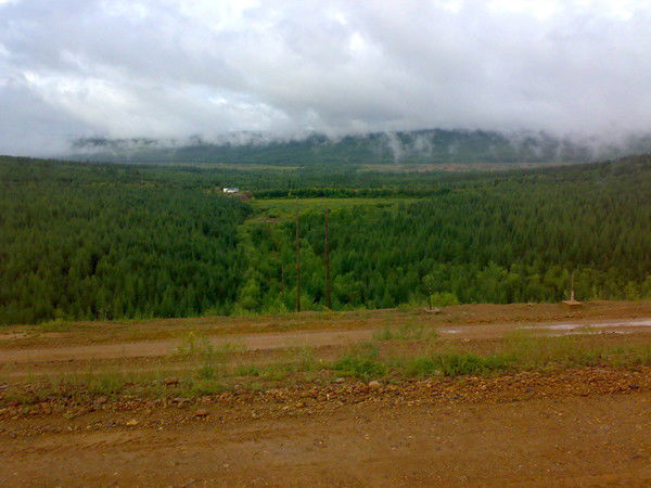 Альфред Минор