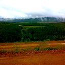 Альфред Минор