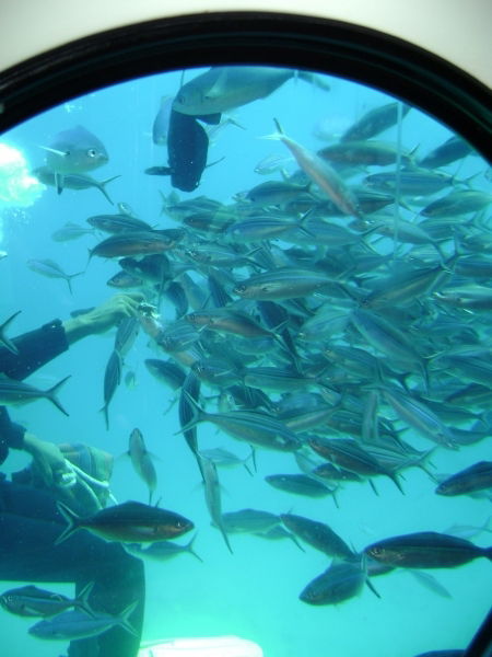 Ирина Рябинина