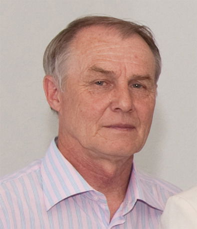 Владимир Мизонов