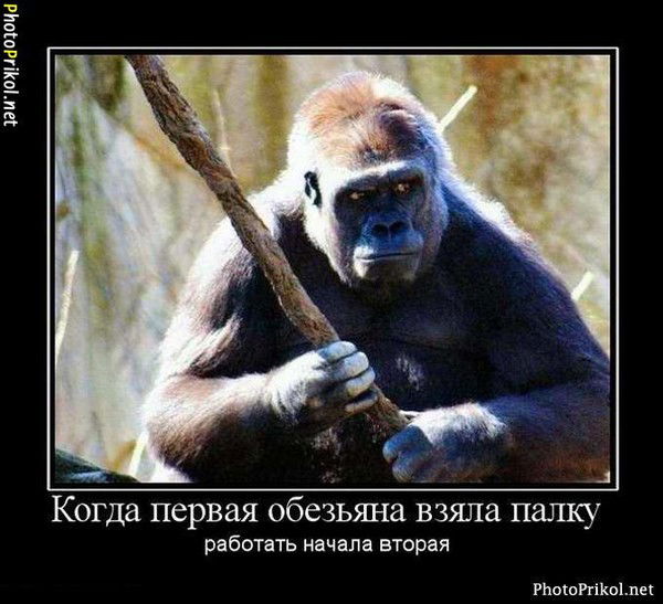 Александр Красноносов