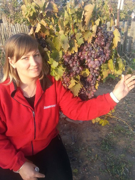 Екатерина Наумова