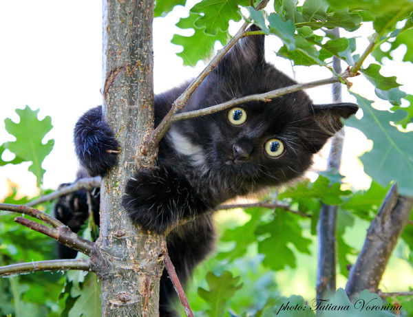 Александр ************