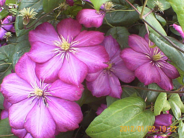 Дмитрий Бабурин