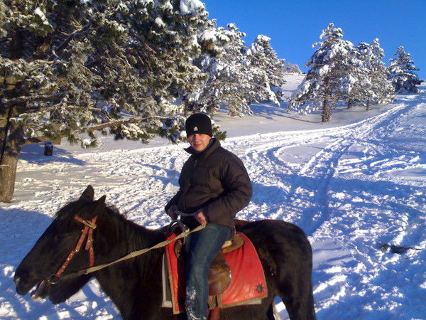 Антон Александрович