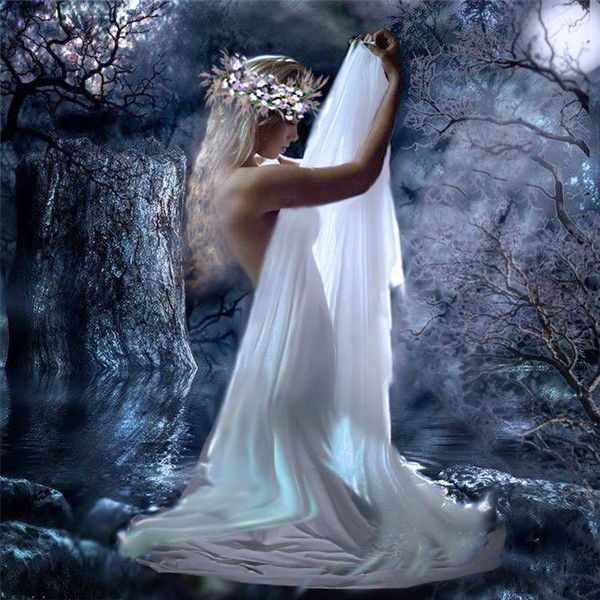 Мила Мила Дз