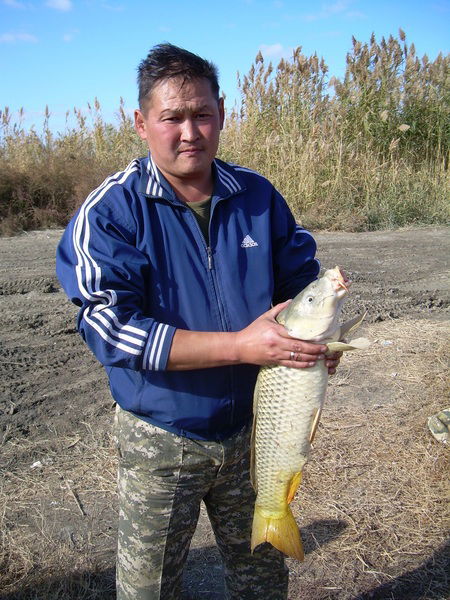 Марат Каманов