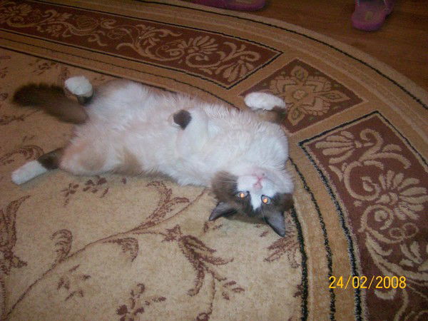 Юлия Иванова