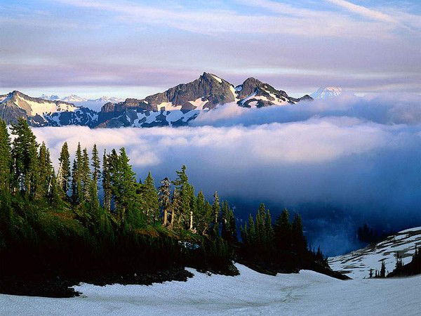 Шавкат Мусаев