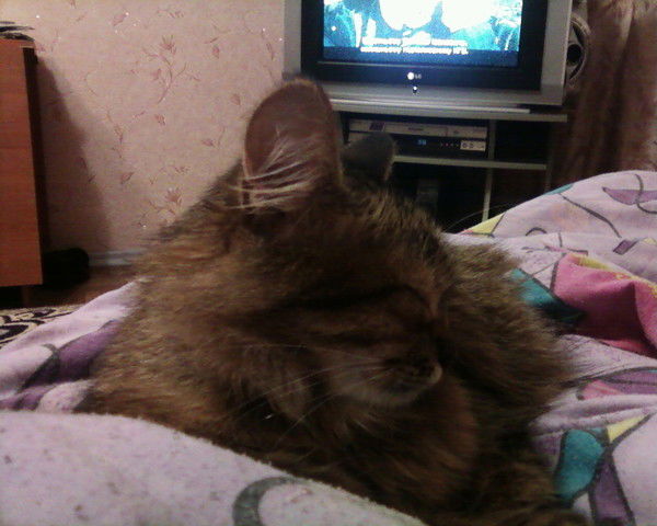 Сергей Ермолаев