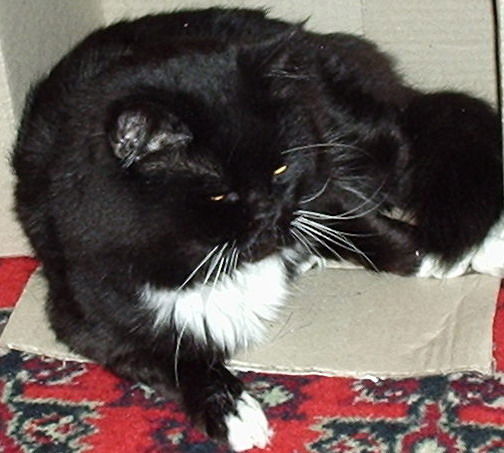 Александр Кравцов