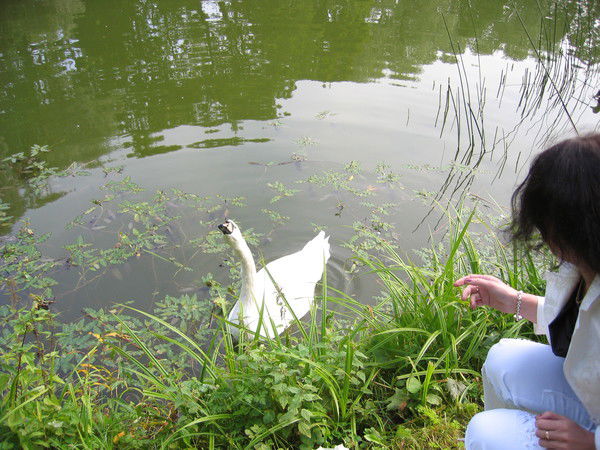 Галина Бондарева