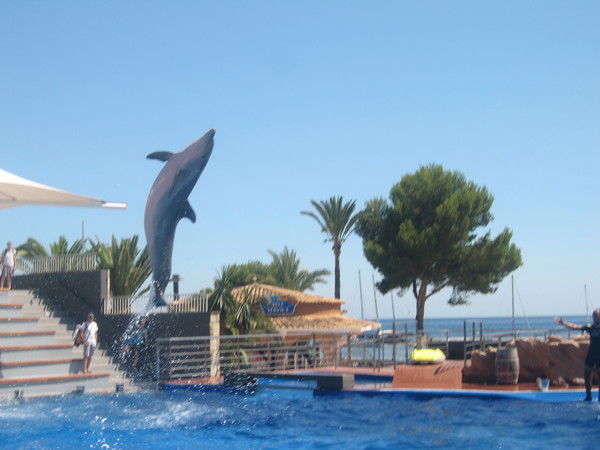 Светлана Окуловская