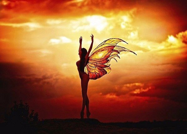 **мотылек** @@@@@