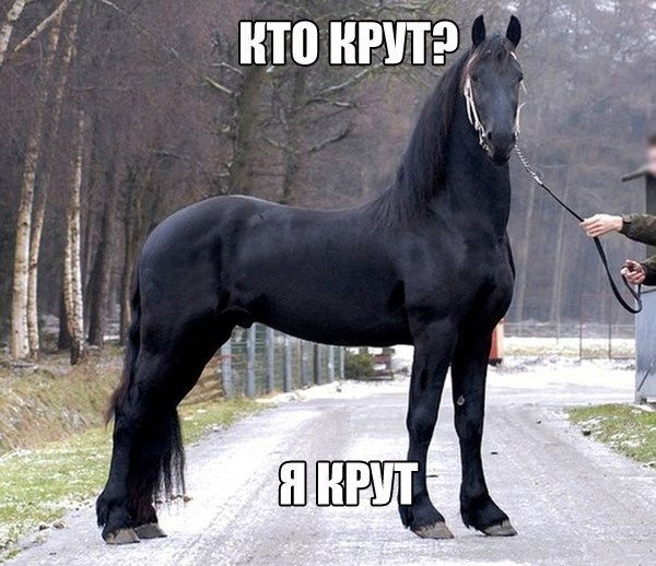 Тимур Ахметов