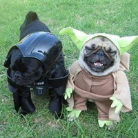 Саша Воронцов