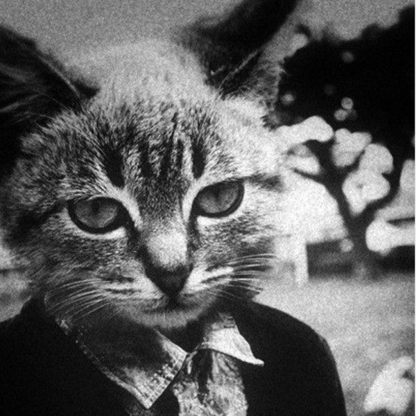 Берди Кузовщик