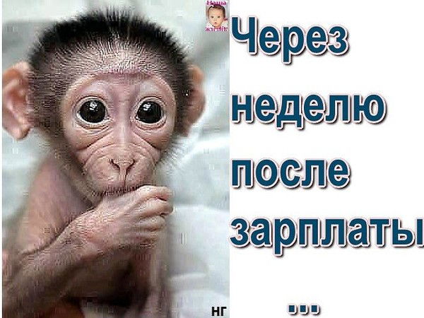 Сергей Кучербаев