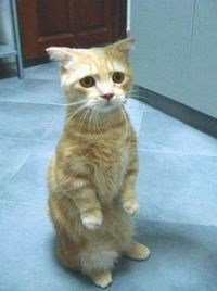 Ваня Добрый