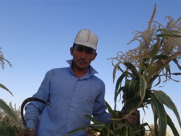 Мейрбек Аширбеков