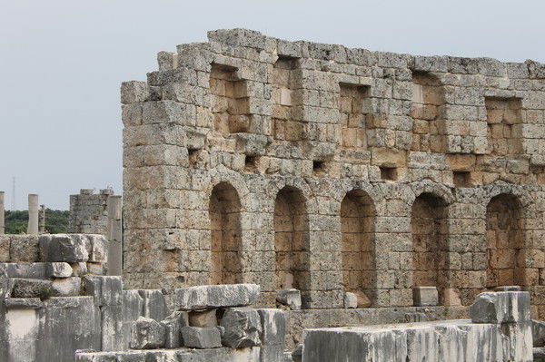 Наталья Кудрявцева