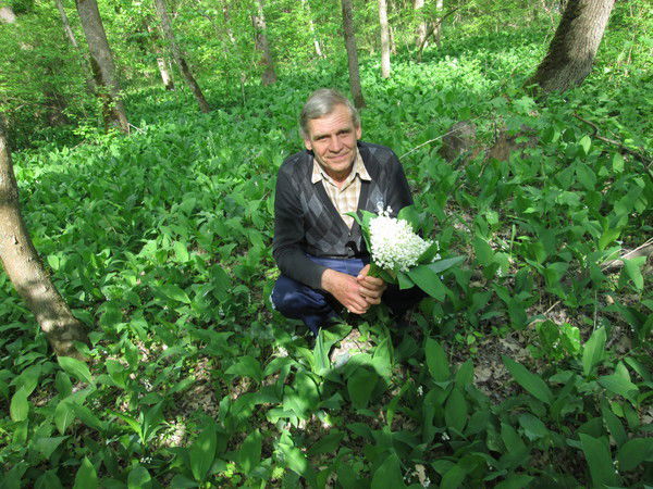 Александр Золотухин