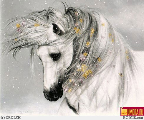 Дизайн-Студия Бб Дизайн-Студия Бб