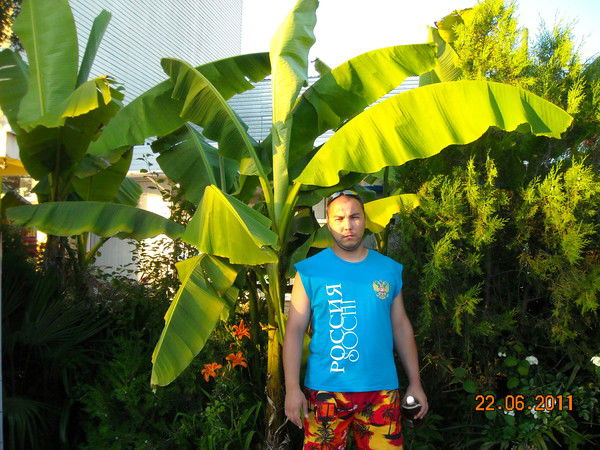 Роман Каримов