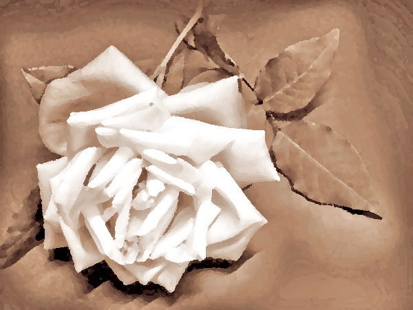 Галина Сейко