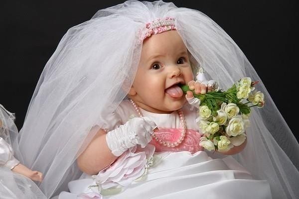 White Rose White Rose