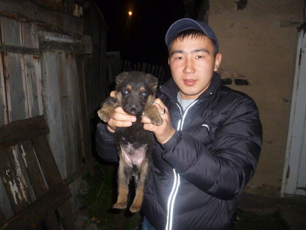 Арман Кабылов