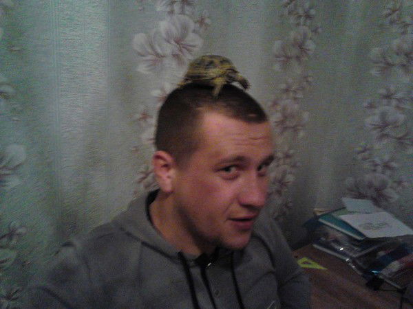 Николай Байднер