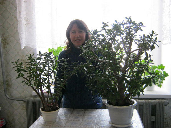 Федосия Григорьева