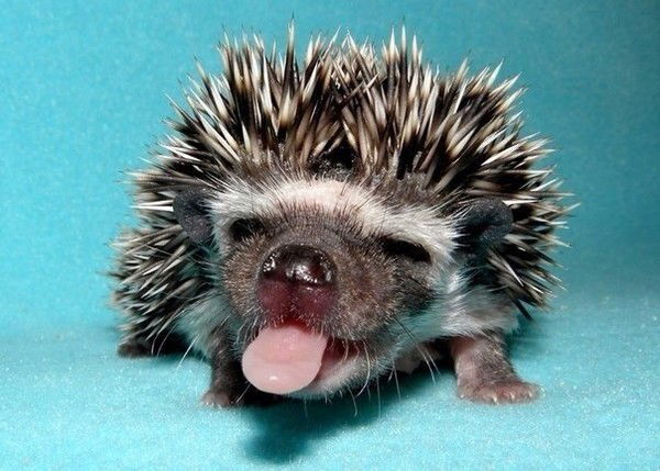 Маргарита Беспрозванная