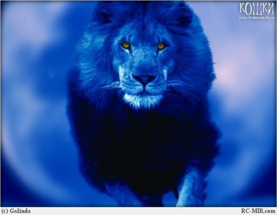 Саид Зоиров