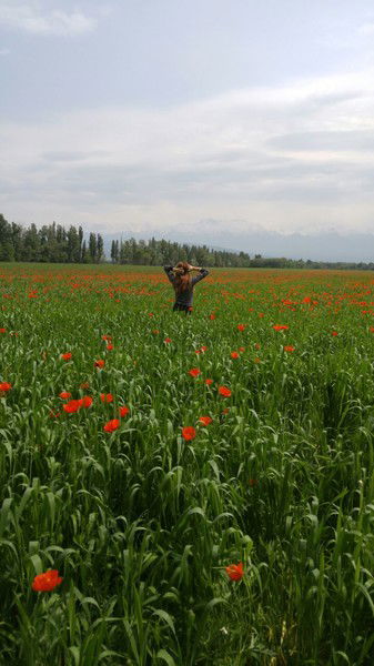 ** Сайора ** Элмурадовна
