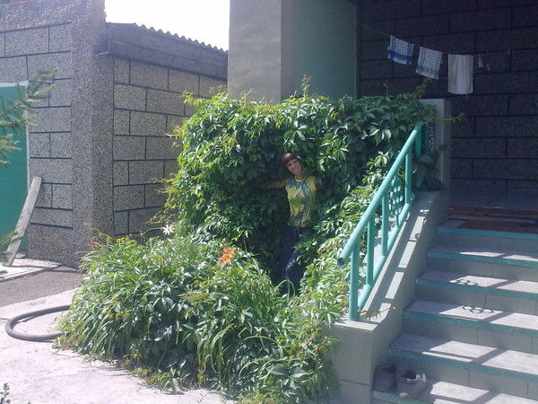 Ирина Евсеева