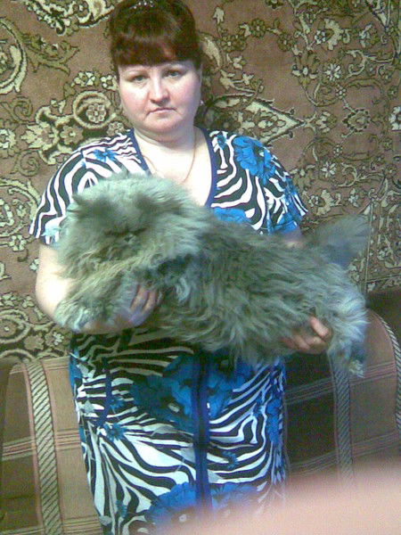 Светлана Чешегорова