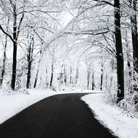 Гаянэ Колокольцова