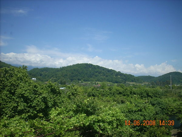 Наталия Тимофеева