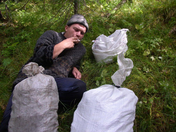 Александр Першин