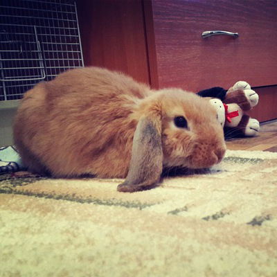 Руслан Калимуллин