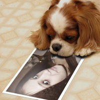 Максим Анискевич