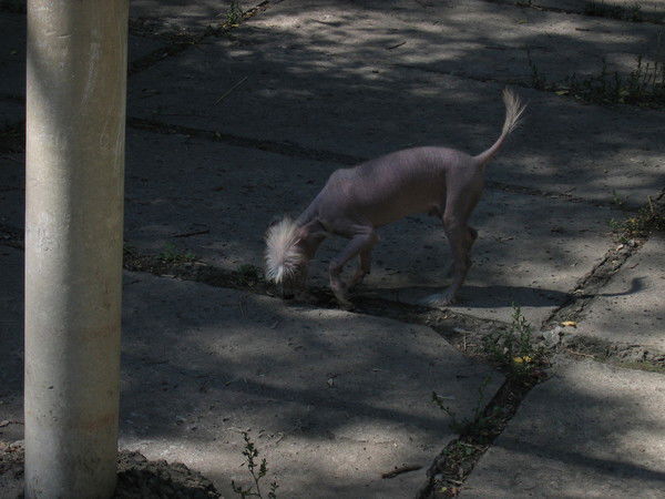 Данил Дёмин