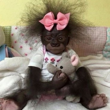 Светлана Захарченко