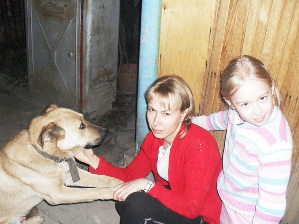 Елена Анисимова