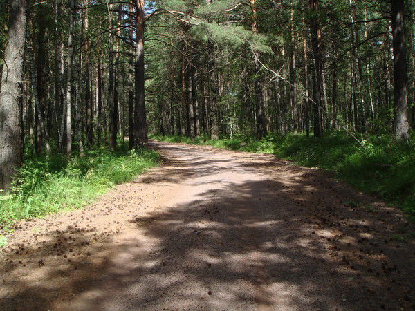 Евгений Поляков