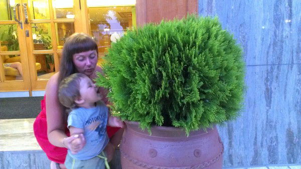 Юлия Секисова